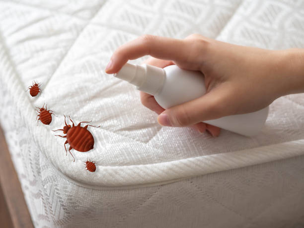 Best Pest Prevention Services  in Blossom, TX